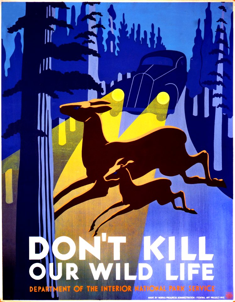 Don't Kill Our Wild Life