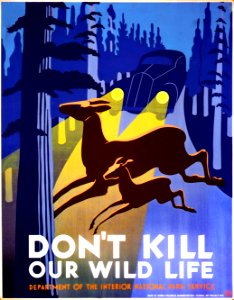 Don't Kill Our Wild Life. Free illustration for personal and commercial use.