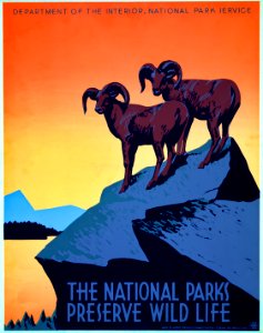 The National Parks Preserve Wild Life. Free illustration for personal and commercial use.