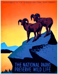 The National Parks Preserve Wild Life