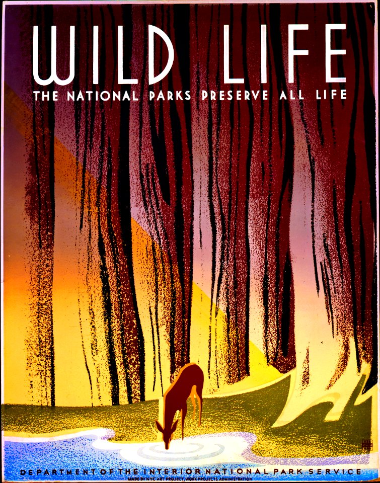 The National Parks Preserve All Life