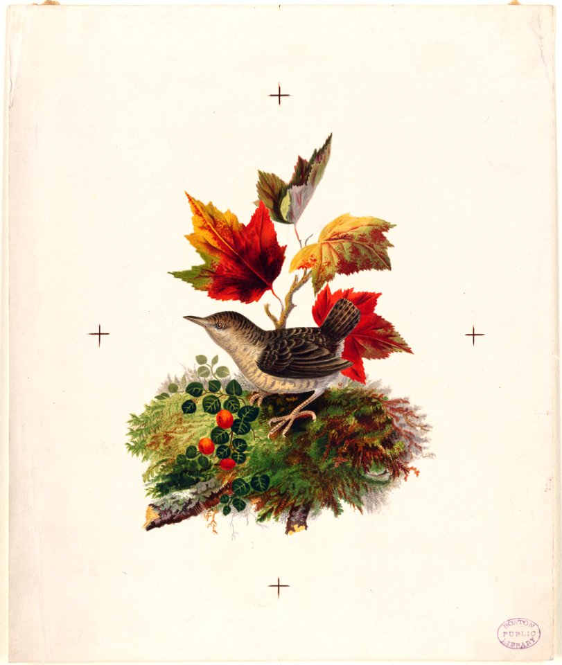 Bird with Autumn Leaves (Boston Public Library)