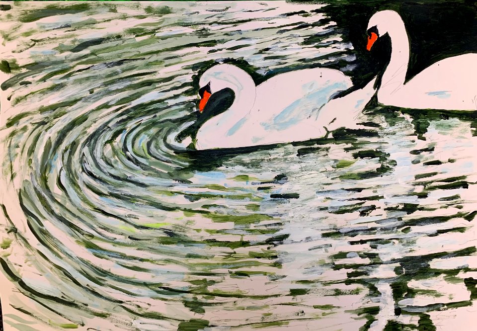 Swans of Avon