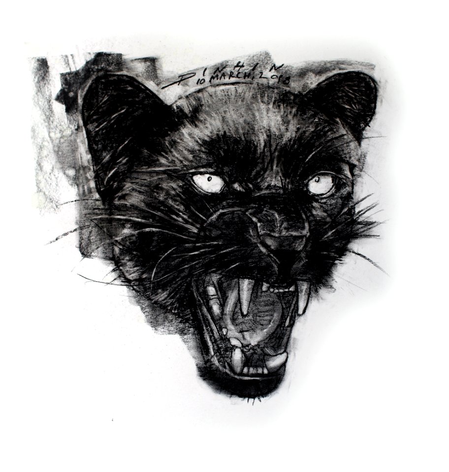 Black Panther / เสือดำ