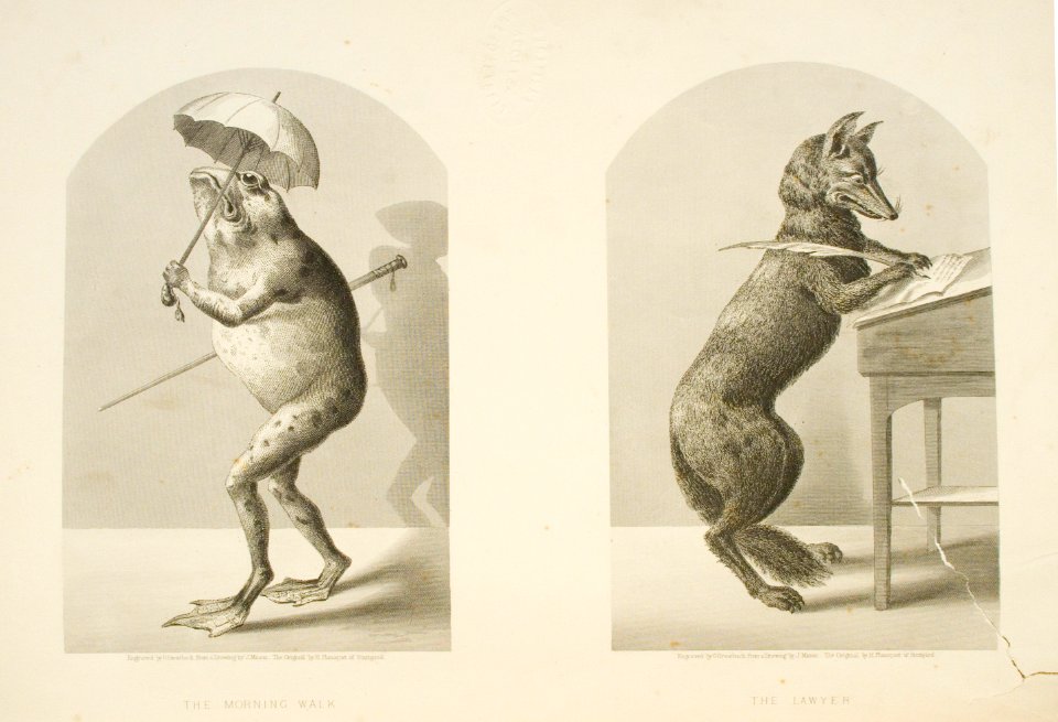 Mr. Frog and Mr. Fox
