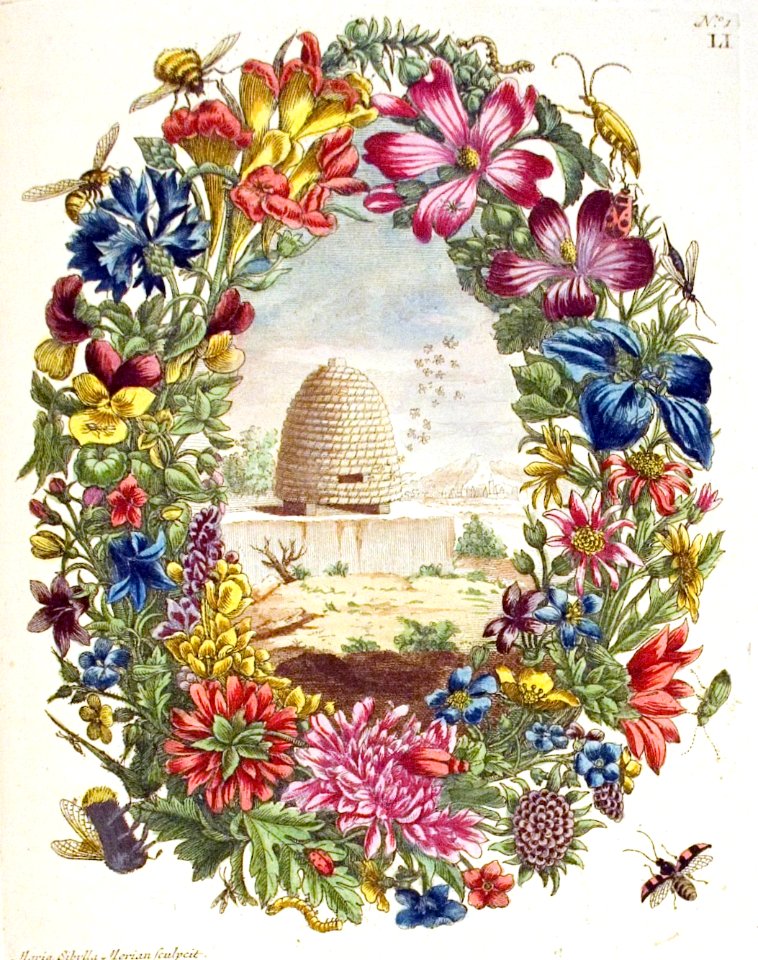 Bees & Flora