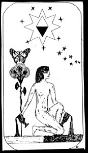The Star
