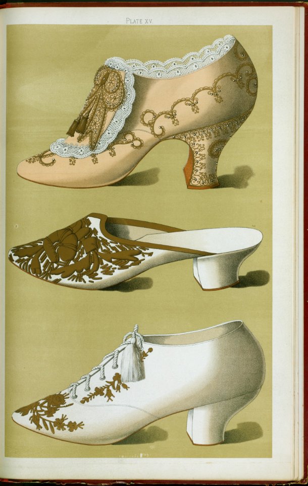 Shoe Illustration