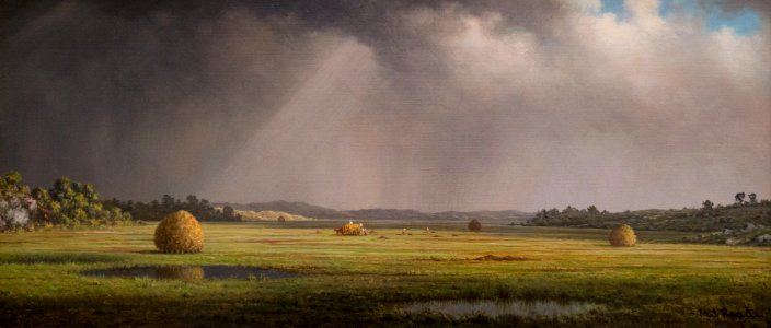 Newburyport Meadows