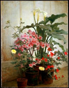 George Cochran Lambdin - Side of a Greenhouse