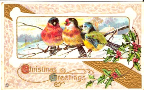 Vintage Christmas Postcard
