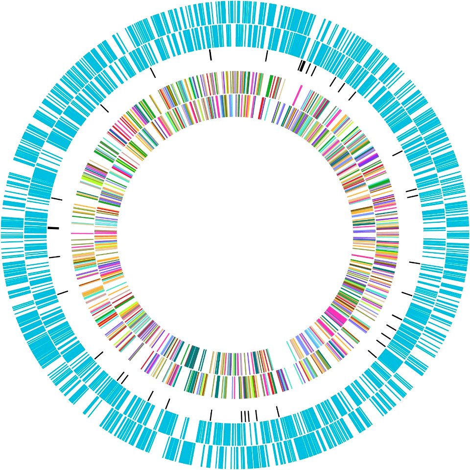 MED4 genome circular plot. Free illustration for personal and commercial use.