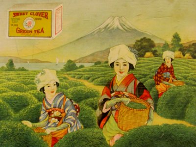 Sweet Clover Green Tea