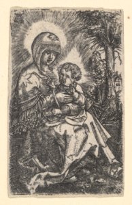 "The Beautiful Virgin of Regensburg" Seated in a Landscape MET DP833068
