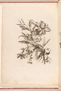 -Small Bouquets- MET DP211764
