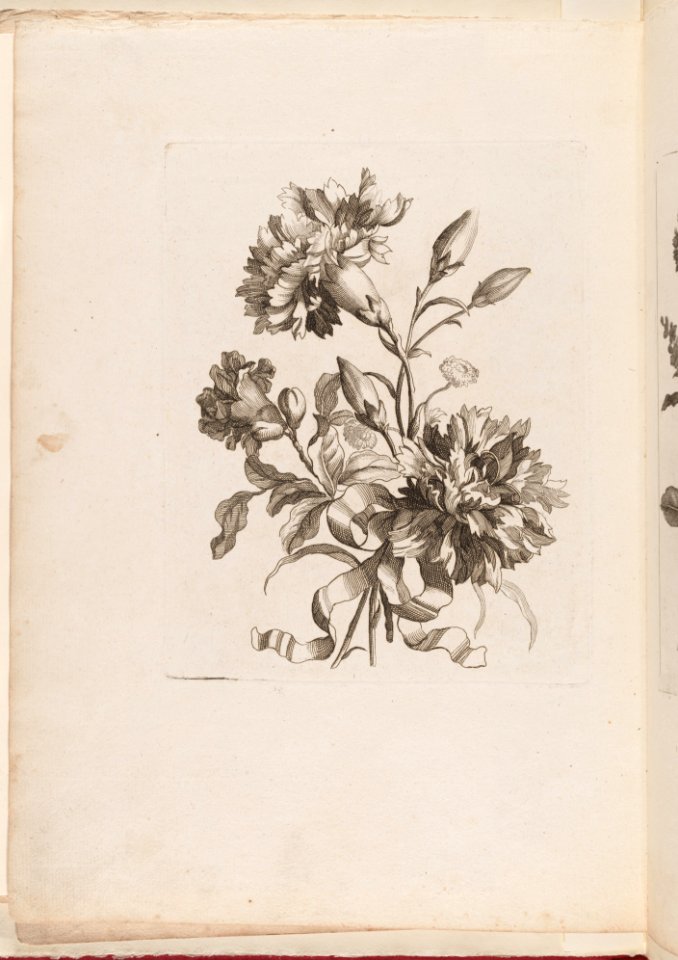 -Small Bouquets- MET DP211763