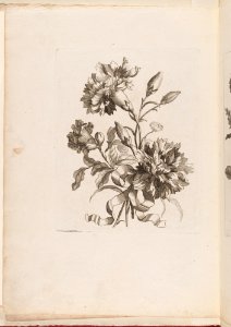 -Small Bouquets- MET DP211763