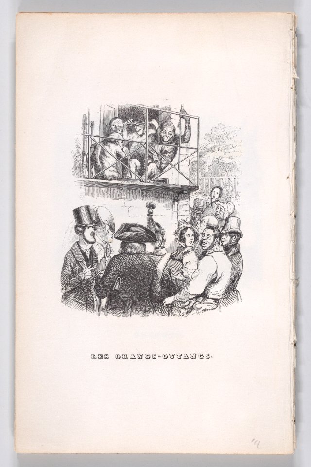 "Orangutans" from The Complete Works of Béranger Met DP887647