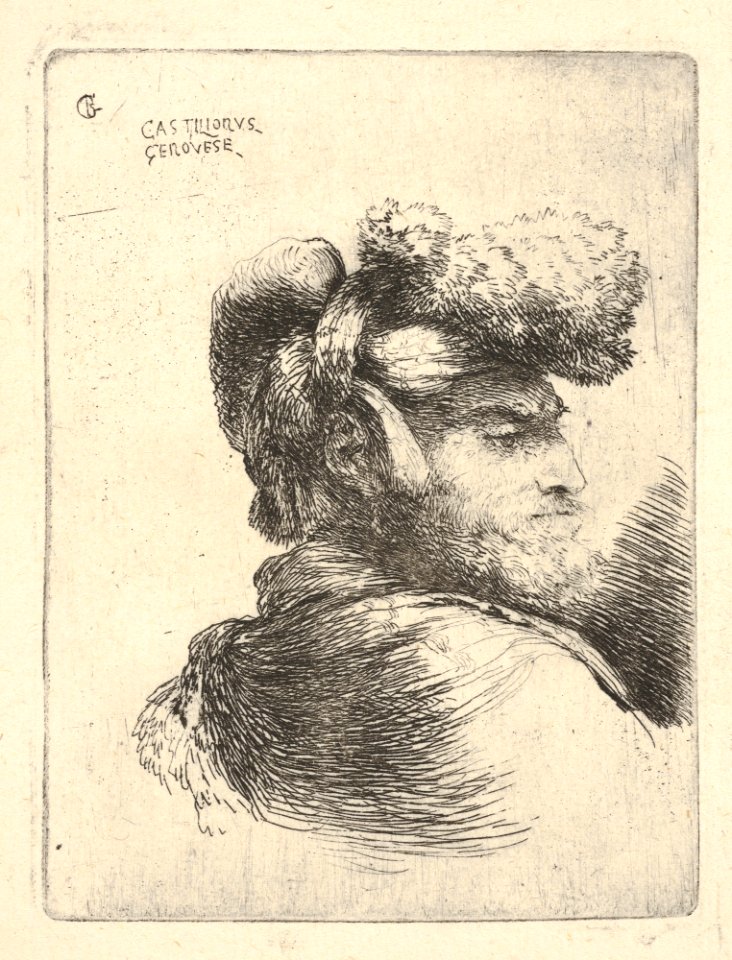 (Male Head) MET DP832186