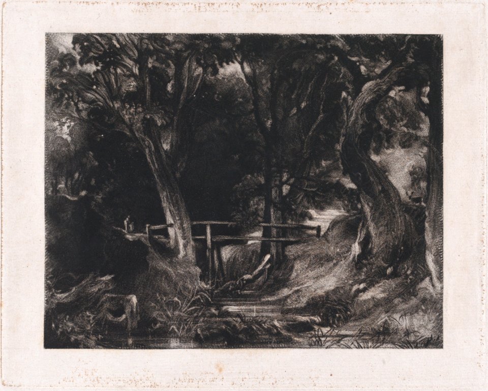A Dell, Helmingham Park, Suffolk MET DP875105