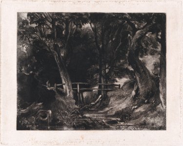 A Dell, Helmingham Park, Suffolk MET DP875105