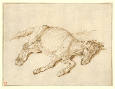 A Horse Laying on its Side MET DP854925