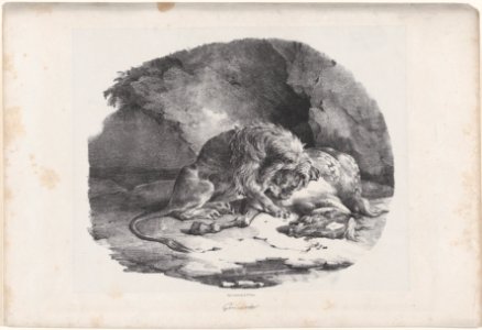 A Horse Being Eaten by a Lion MET DP874609