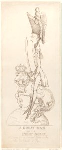 A Great Man on His Hobby Horse Met DP884718