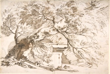 A Fallen Tree with Ruins MET DP804048