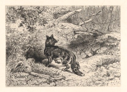 A Fox MET DP874278