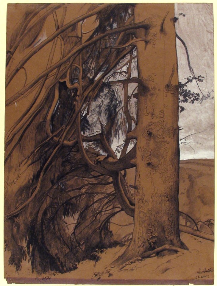 A Fir Tree in the Forest of the Landes, Aquitane MET 2002.46