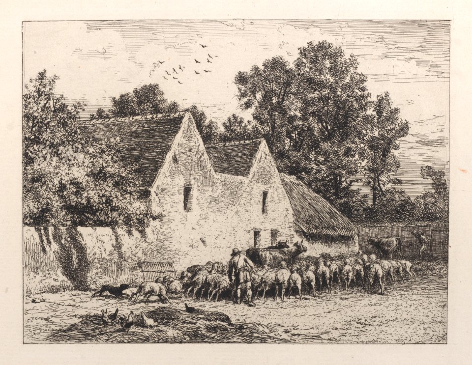 A Farm Met DP887006