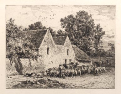 A Farm Met DP887006