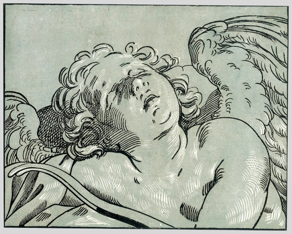 A sleeping cupid MET 22.73.3.107