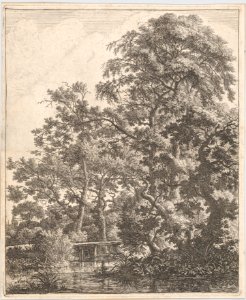 A Small Bridge over a Stream MET DP876275