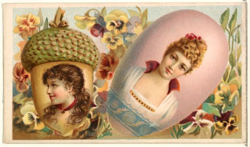 Acorn, from the Miniature Novelties series (N120) issued by Duke Sons & Co. to promote Honest Long Cut Tobacco MET DPB873720