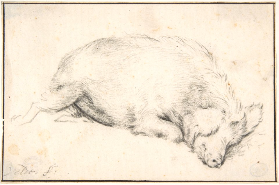 A Sleeping Swine MET DP800761