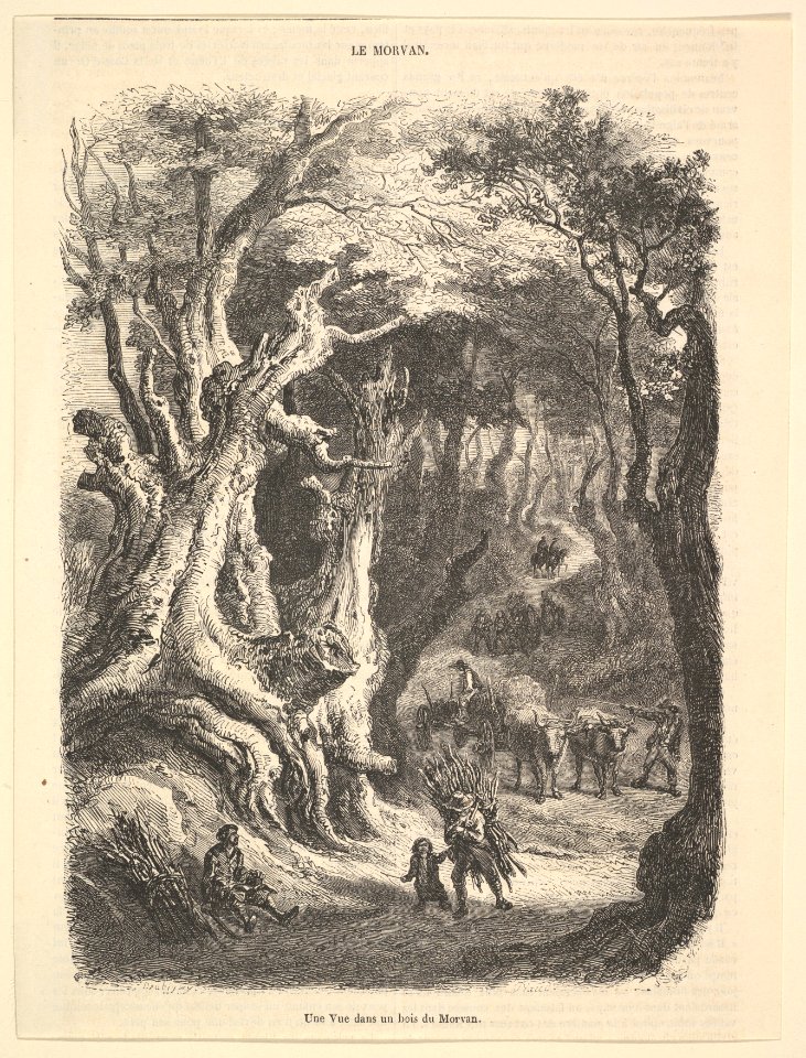 A View in the Forest of Morvan MET DP822392