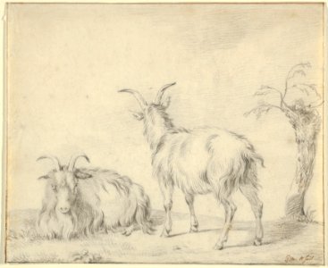 A Standing and a Lying Goat Near a Small Tree MET DP852155