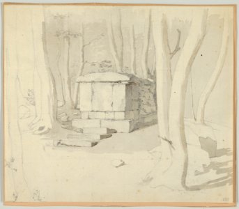 A Stone Tomb in a Forest; verso- Study of a Flower MET DP838067