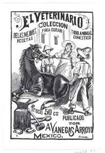 A group of people surrounding a horse, illustration for 'El Veterinario (The Veterinary- Collection of the best prescriptions for curing all domestic animals)' published by Antonio Vanegas Arroyo MET DP869505