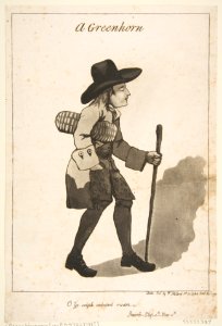 A Greenhorn MET DP818464