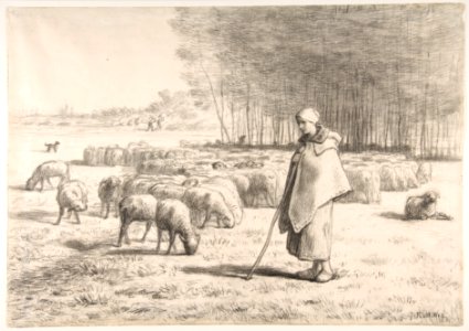 A Shepherdess with Her Flock MET DP811920