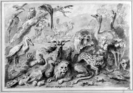 A Congress of Animals MET 060.2R3 54M