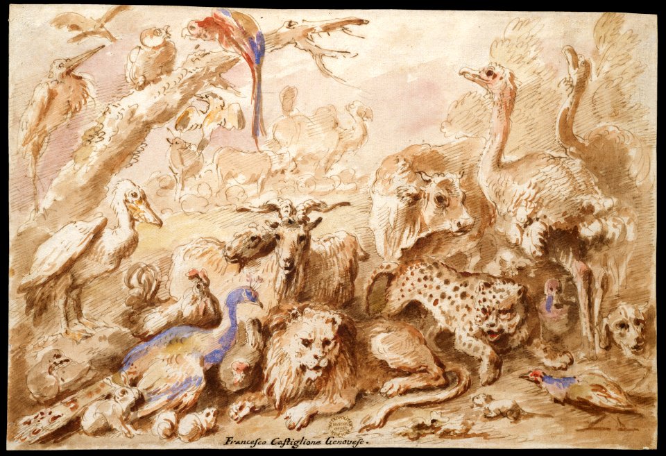 A Congress of Animals MET DT4925