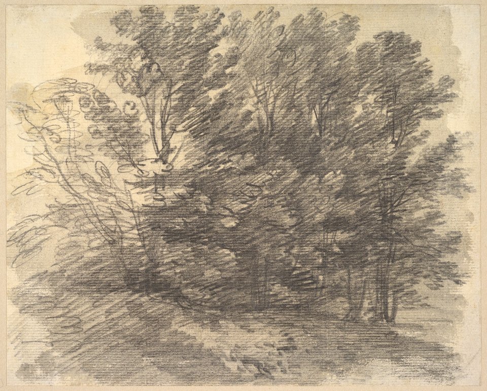 A Clump of Trees MET DP829459