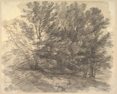 A Clump of Trees MET DP829459