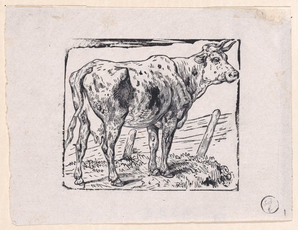 A Cow Met DP888883