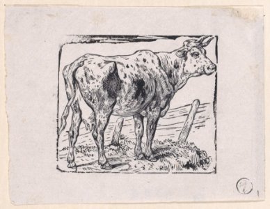 A Cow Met DP888883