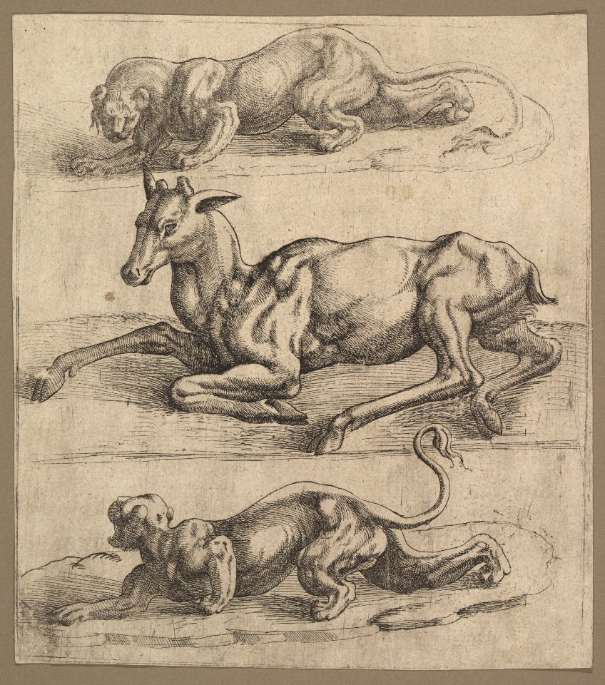 A Doe and Two Lionesses MET DP822137